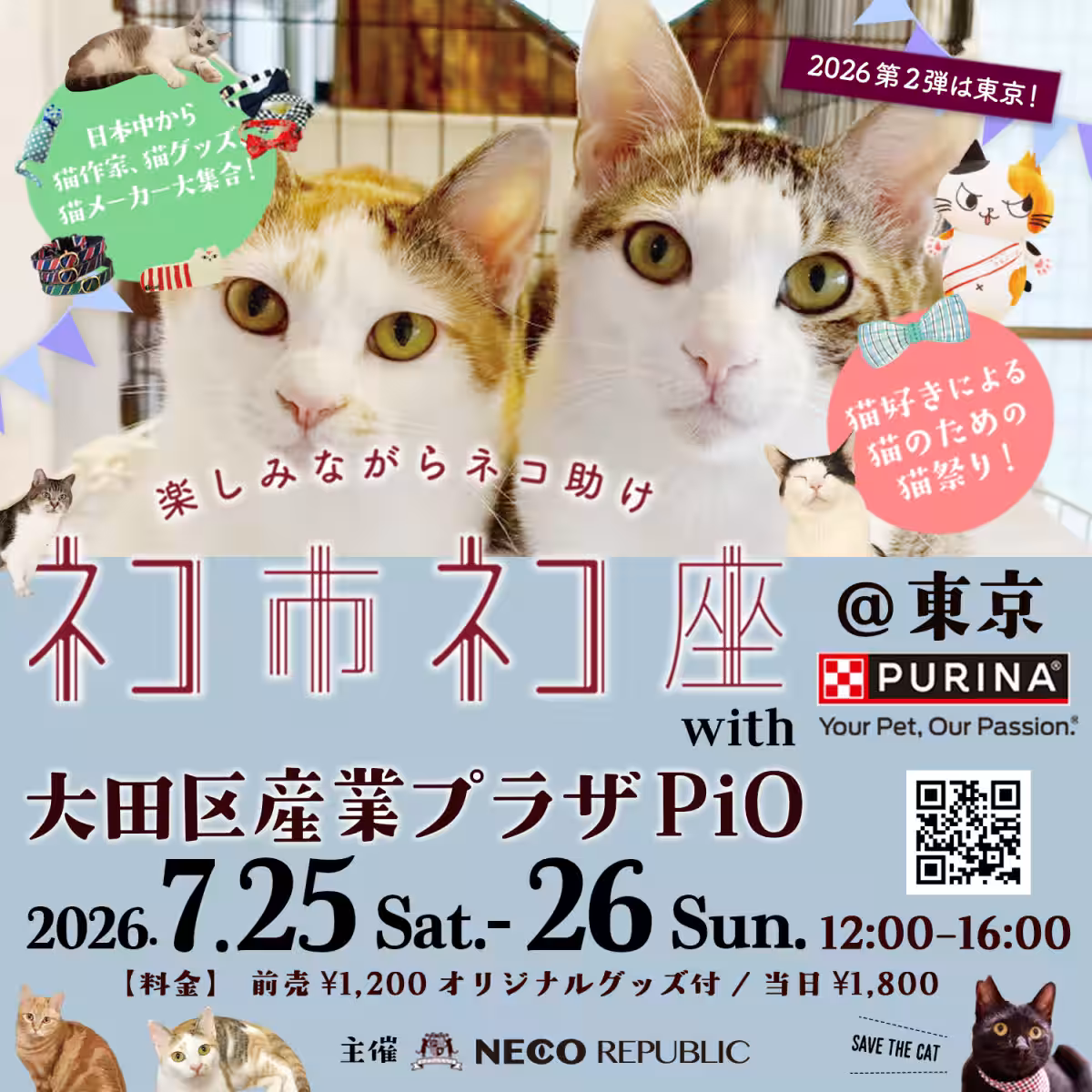 画像12