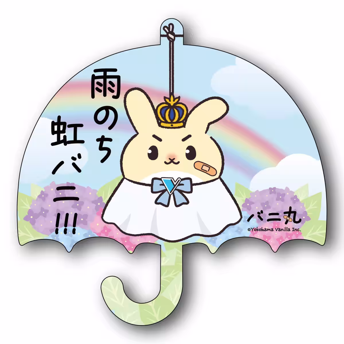 画像10