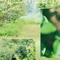 ブルーベリー狩り