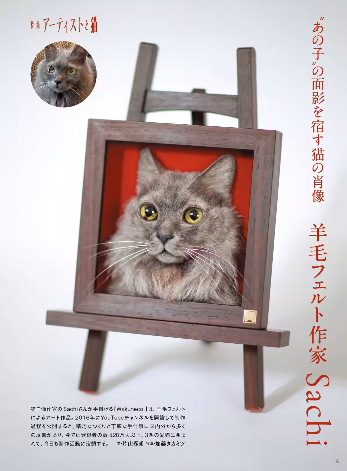 画像6