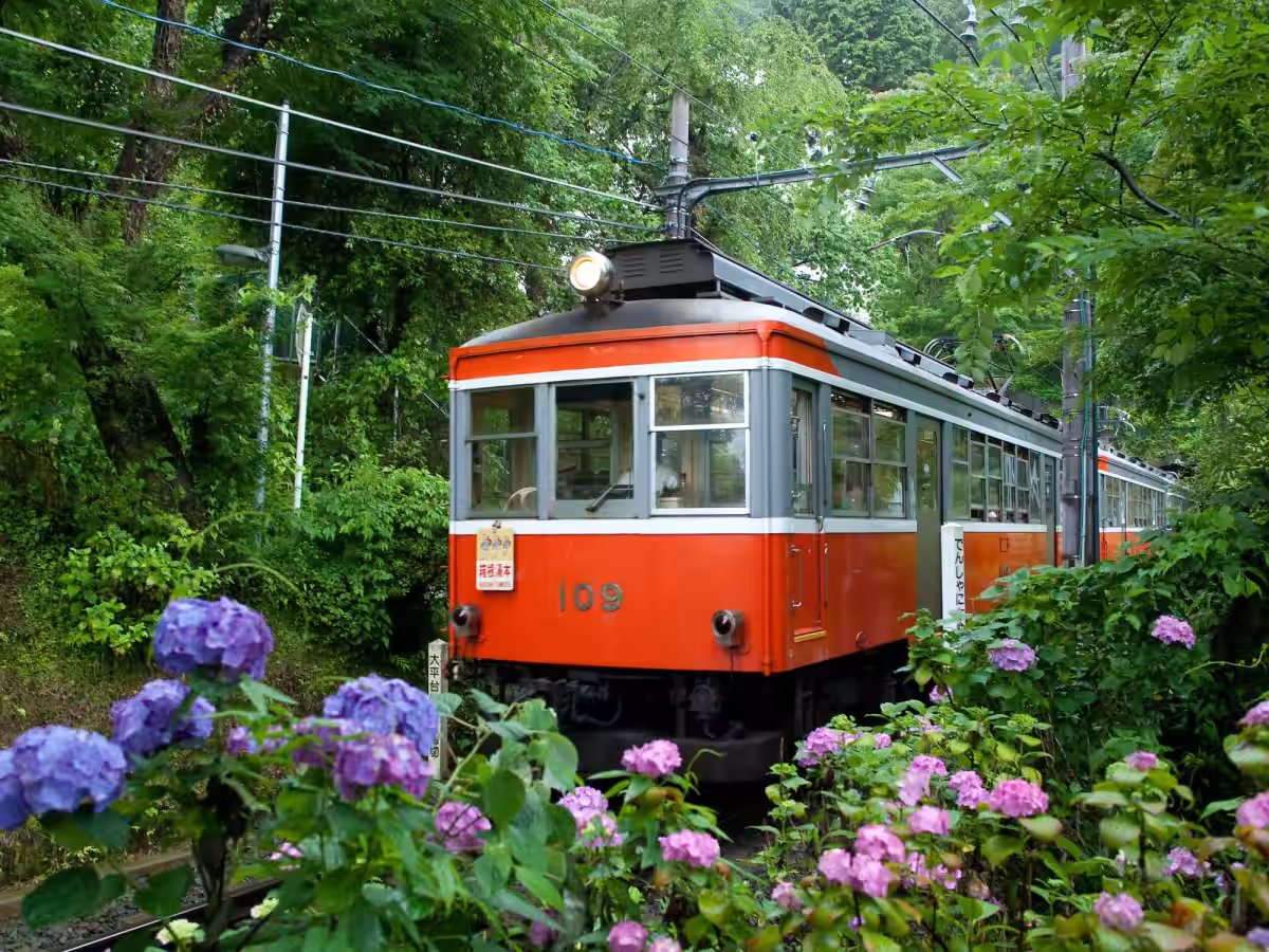 画像10