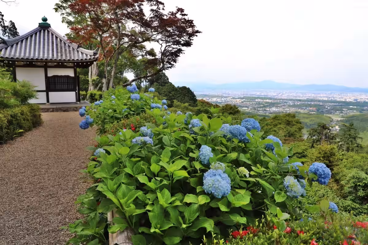 画像7