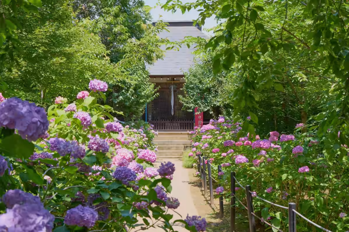 画像5