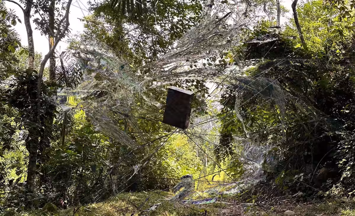 画像17