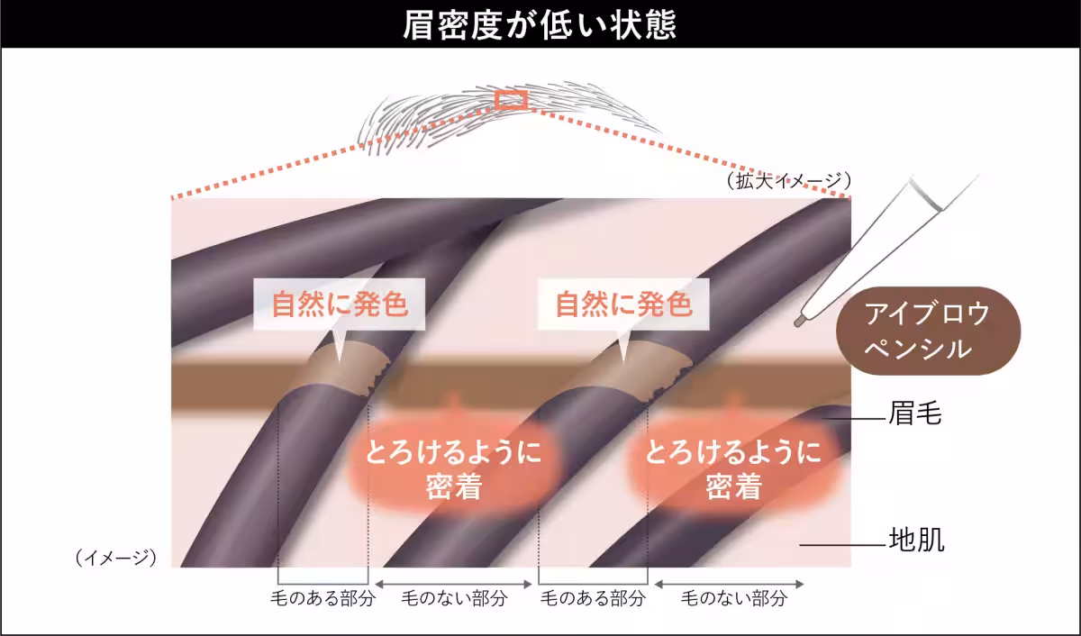 画像14