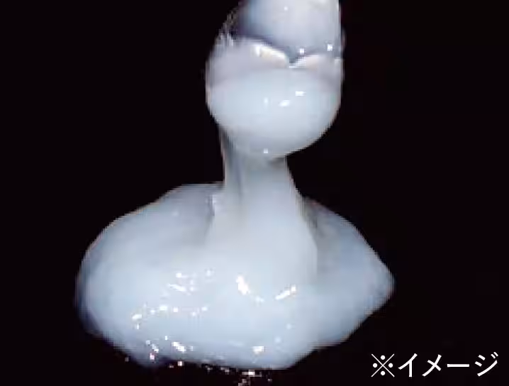 画像15