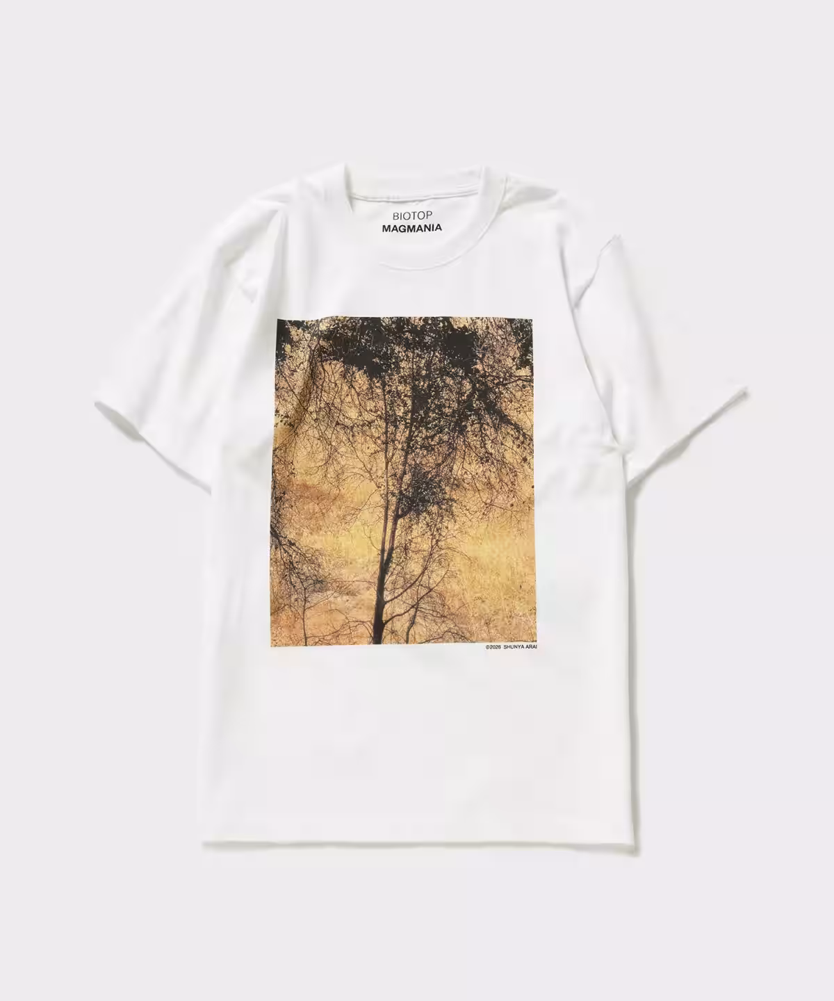 画像18