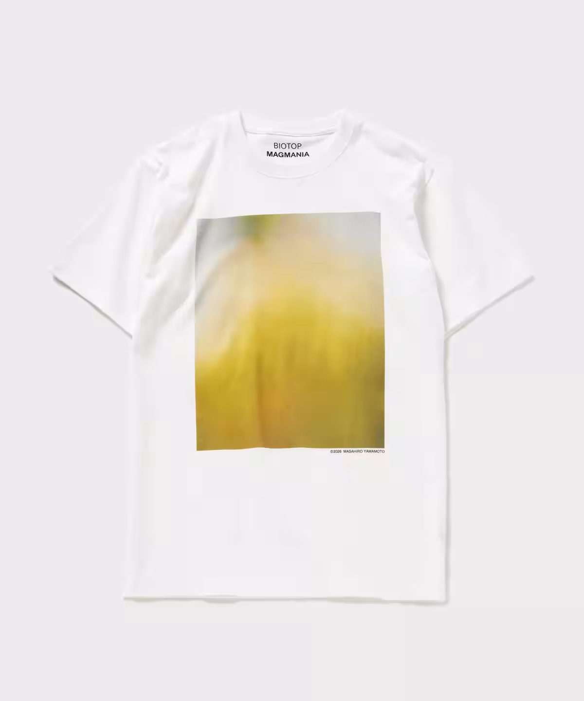 画像19