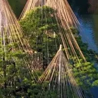 美しいドローン映像