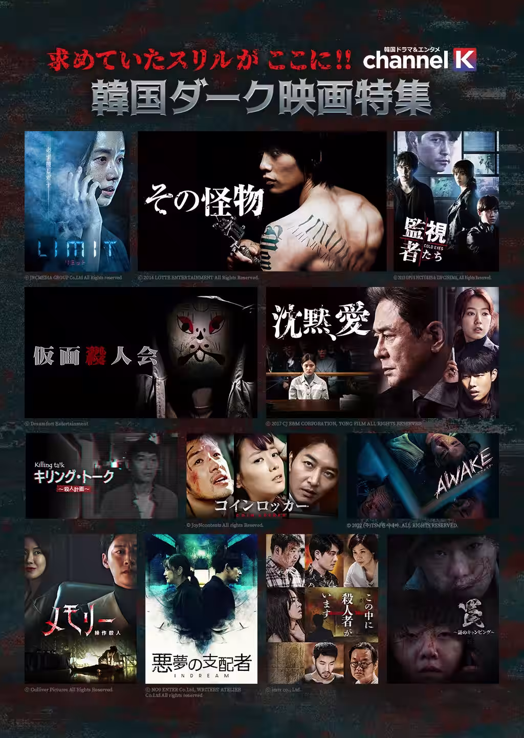 画像15