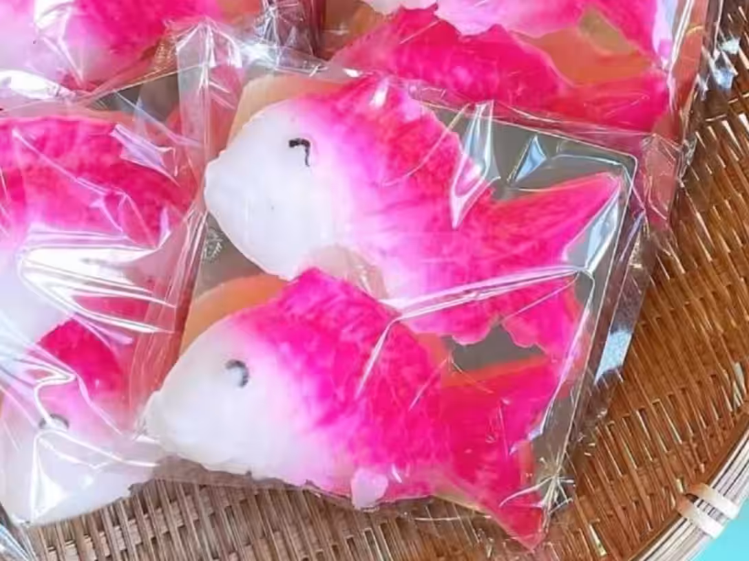 画像8