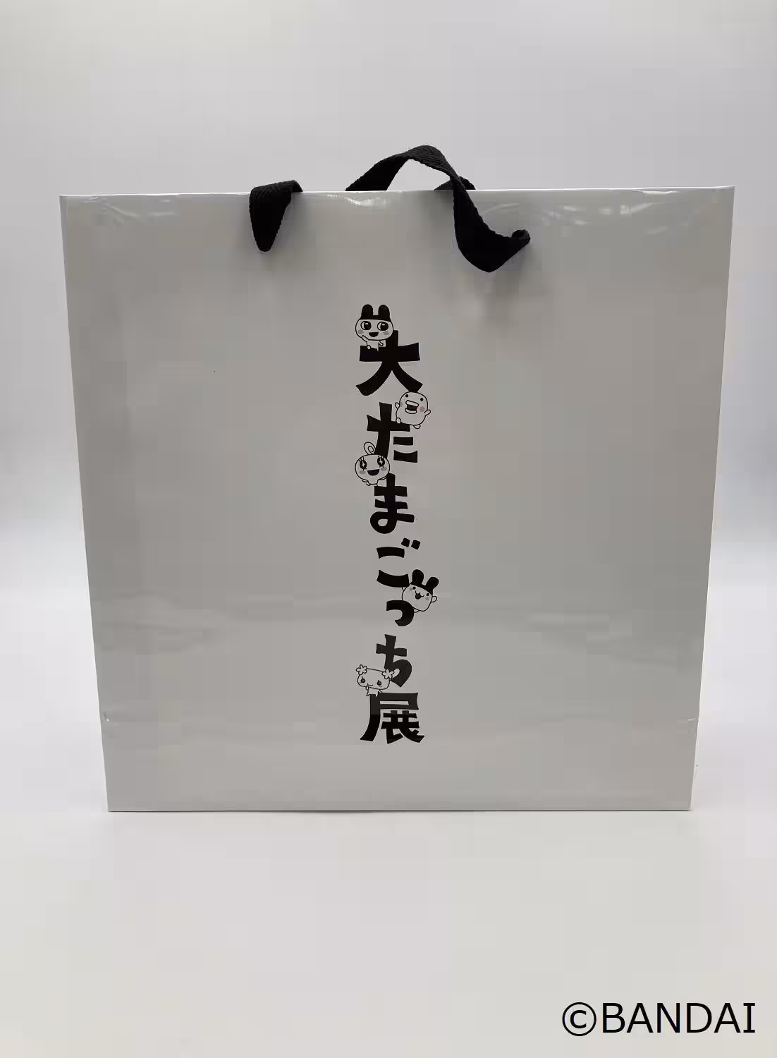画像7