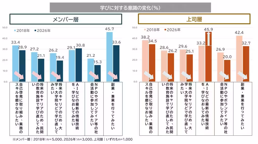 画像13