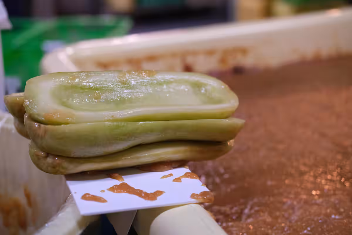 画像11