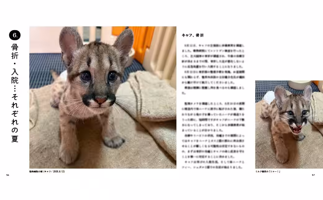 画像16