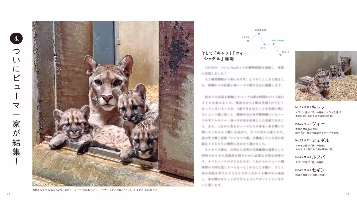 画像14