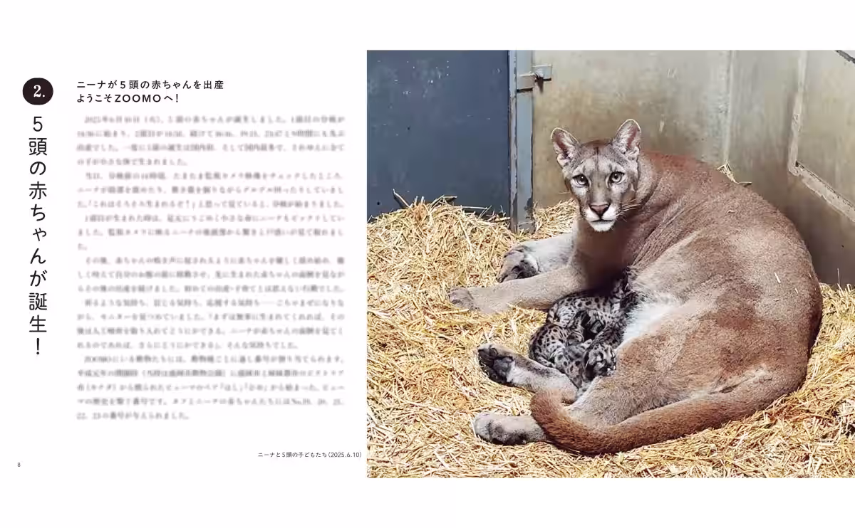 画像13
