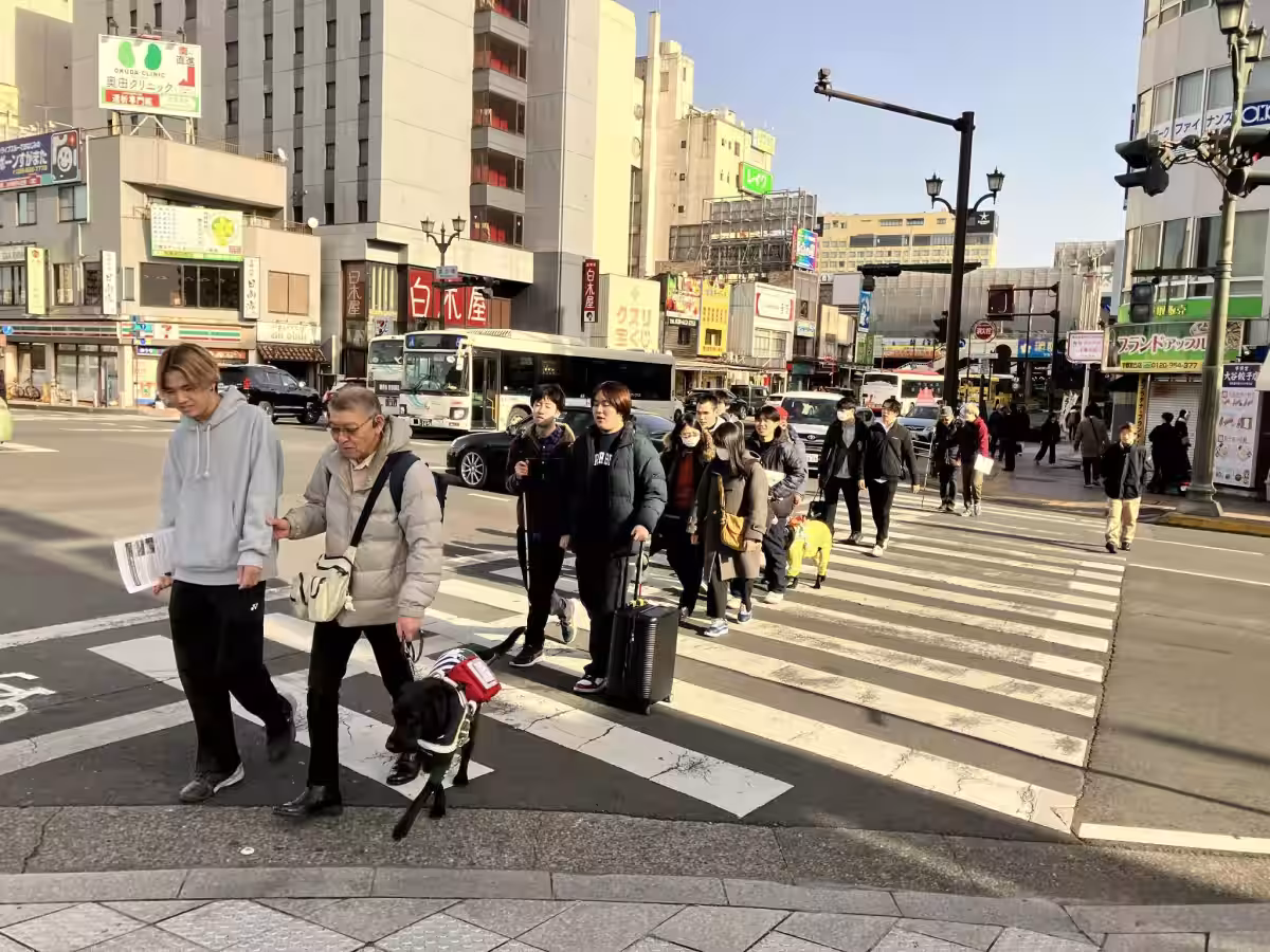 画像8
