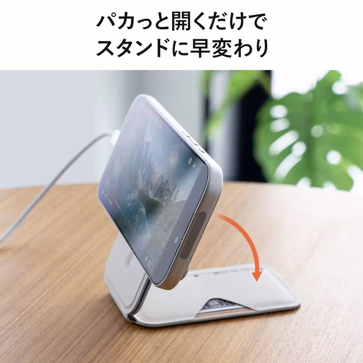 画像9