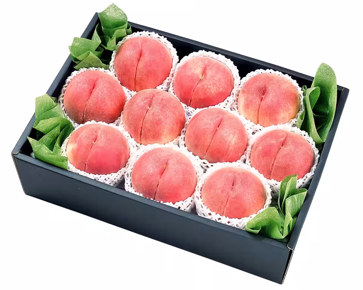 画像5