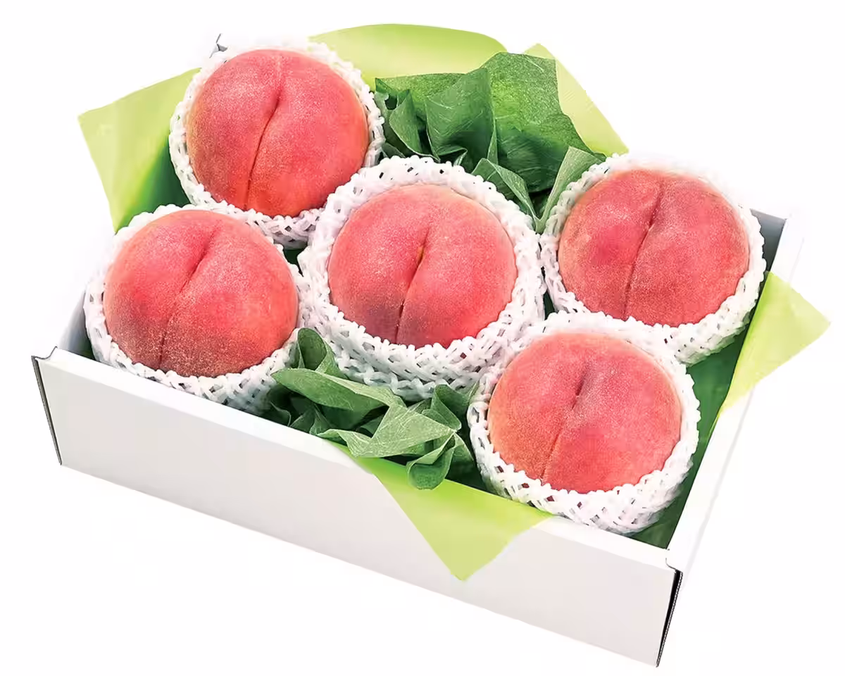 画像6