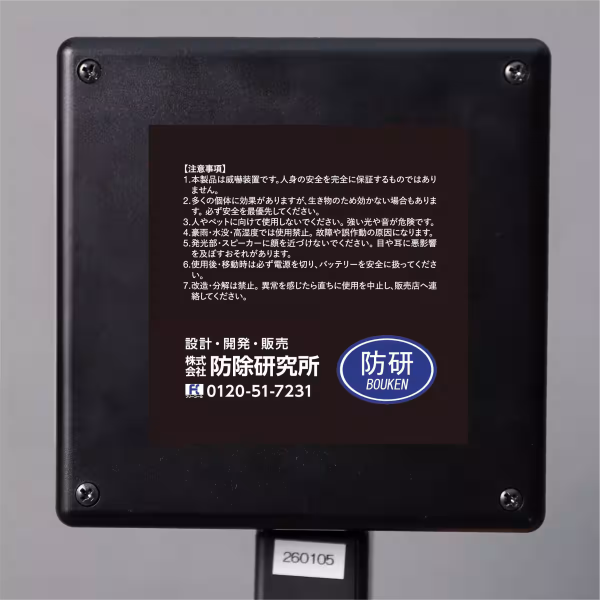 画像6