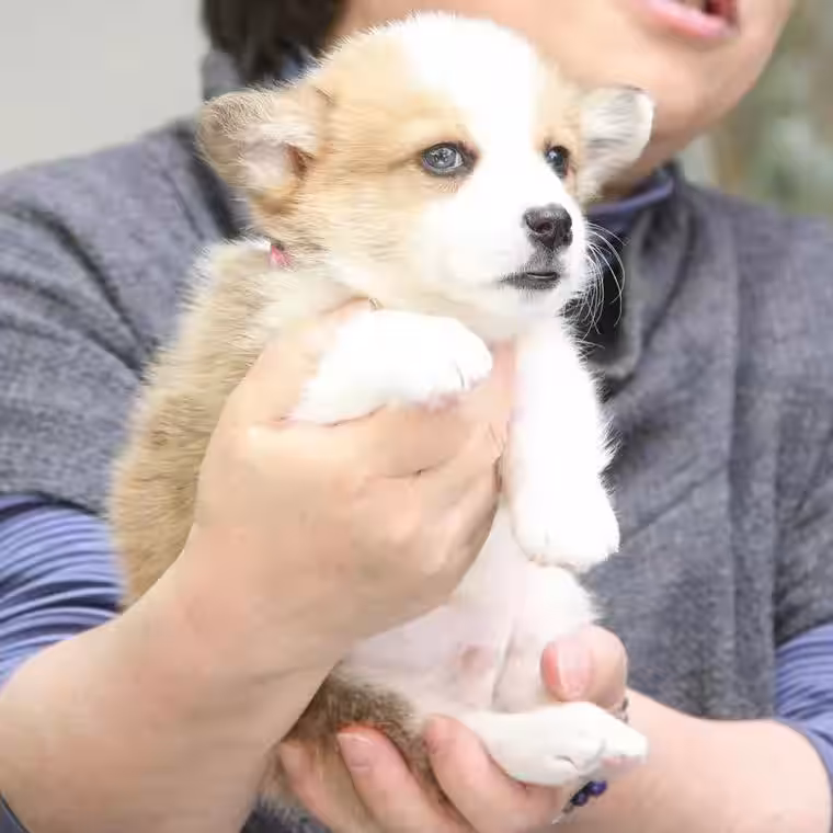 画像5