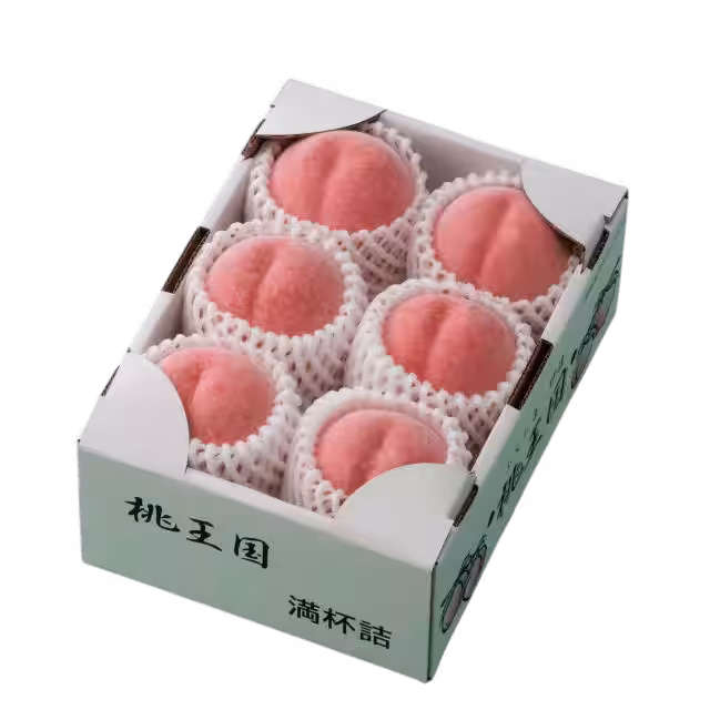 画像7