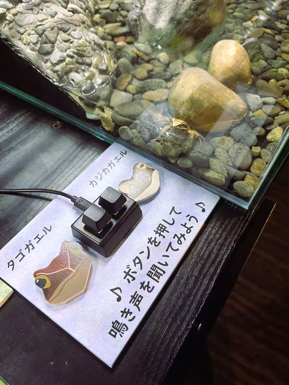 画像4
