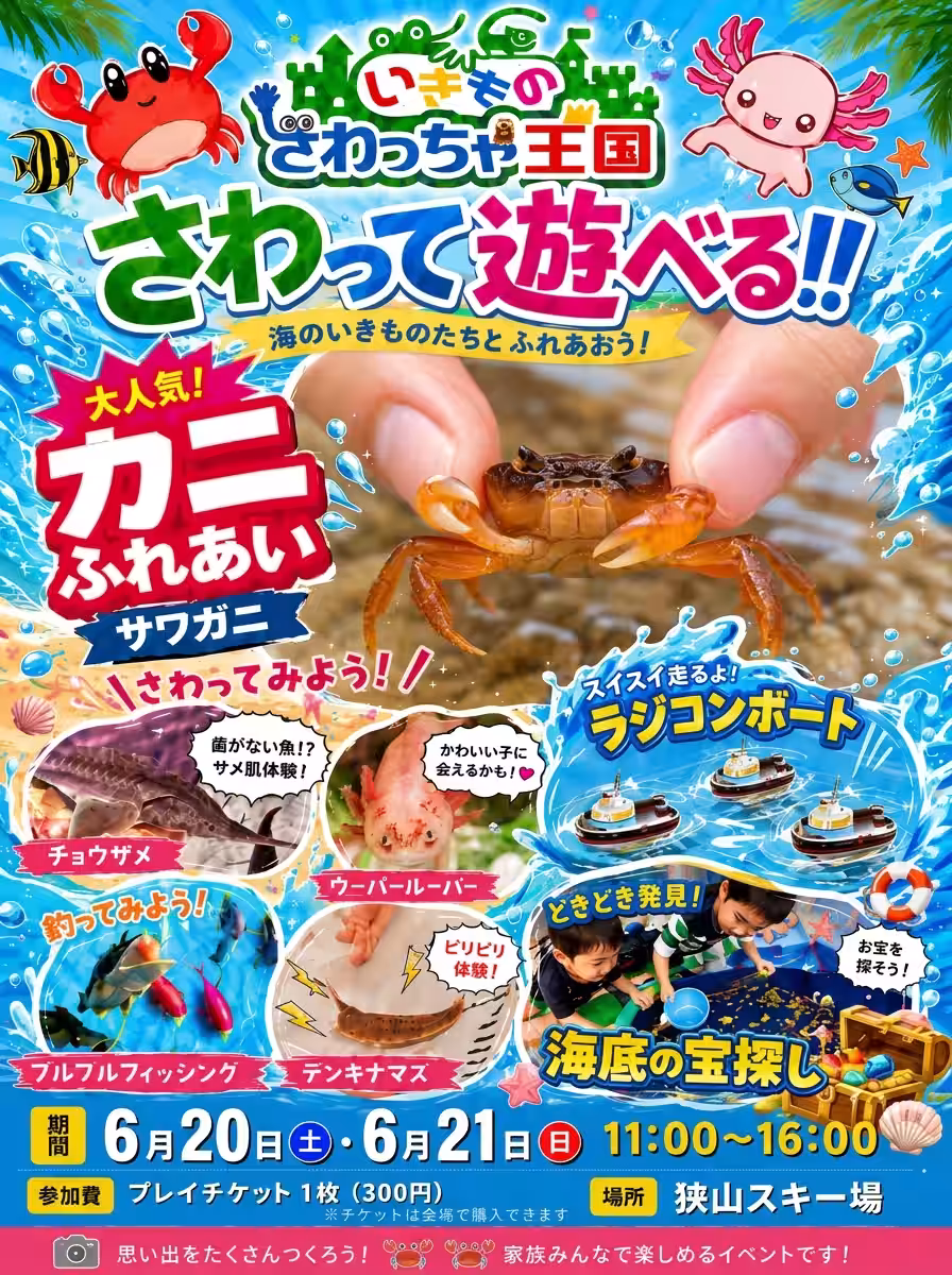 画像6