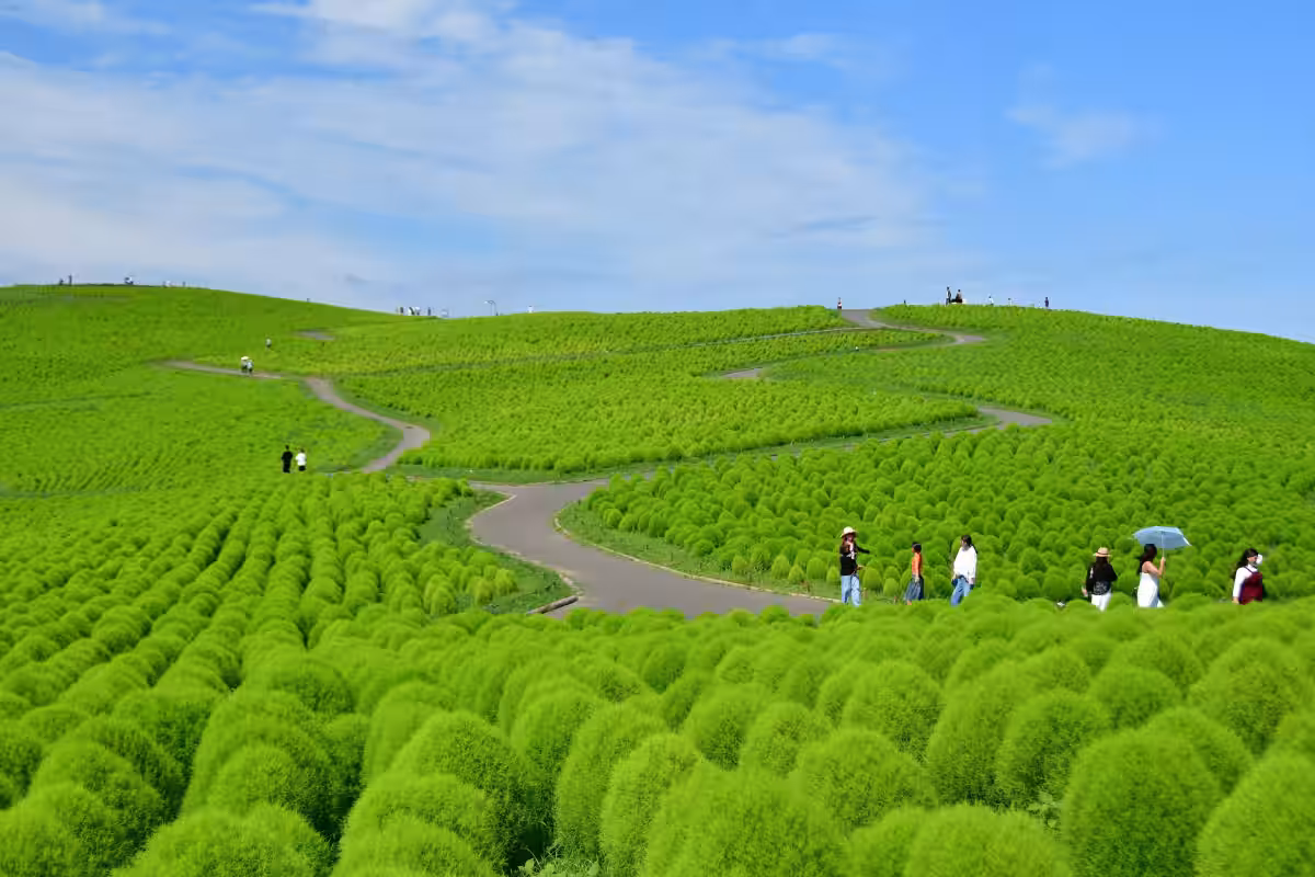画像9