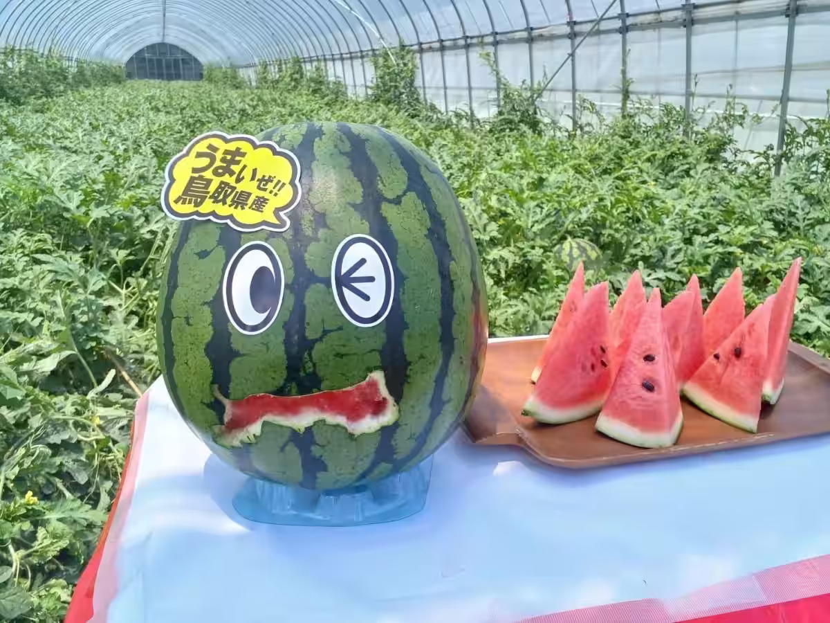 画像1