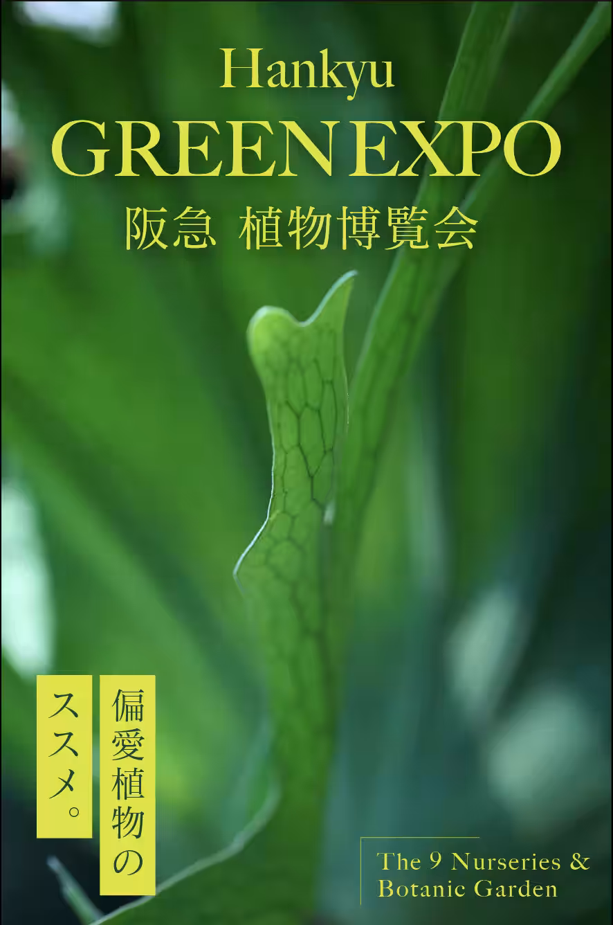 画像18