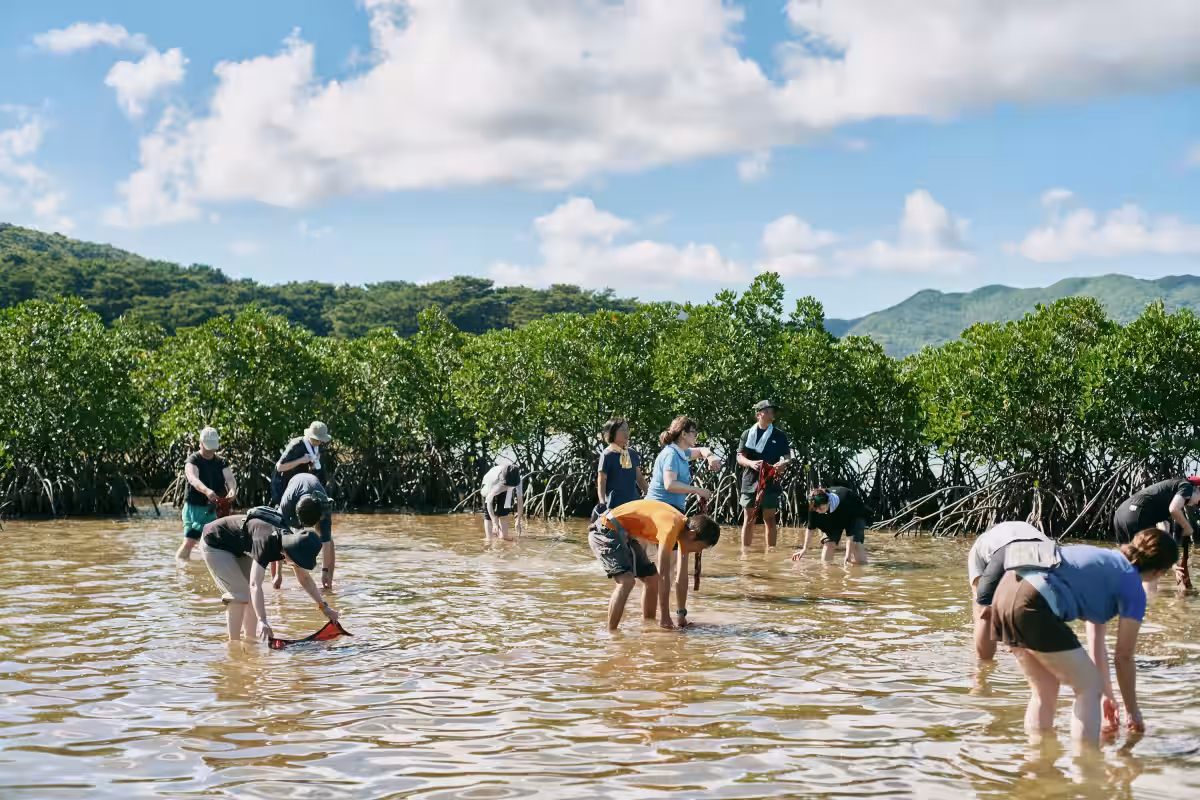 画像9