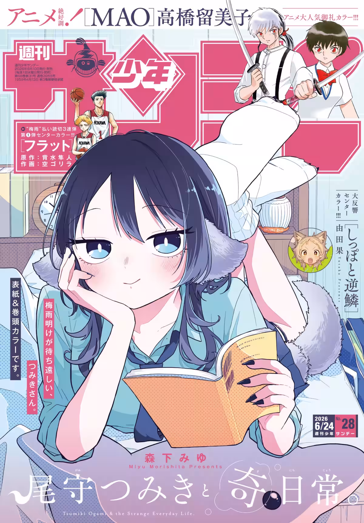 画像7