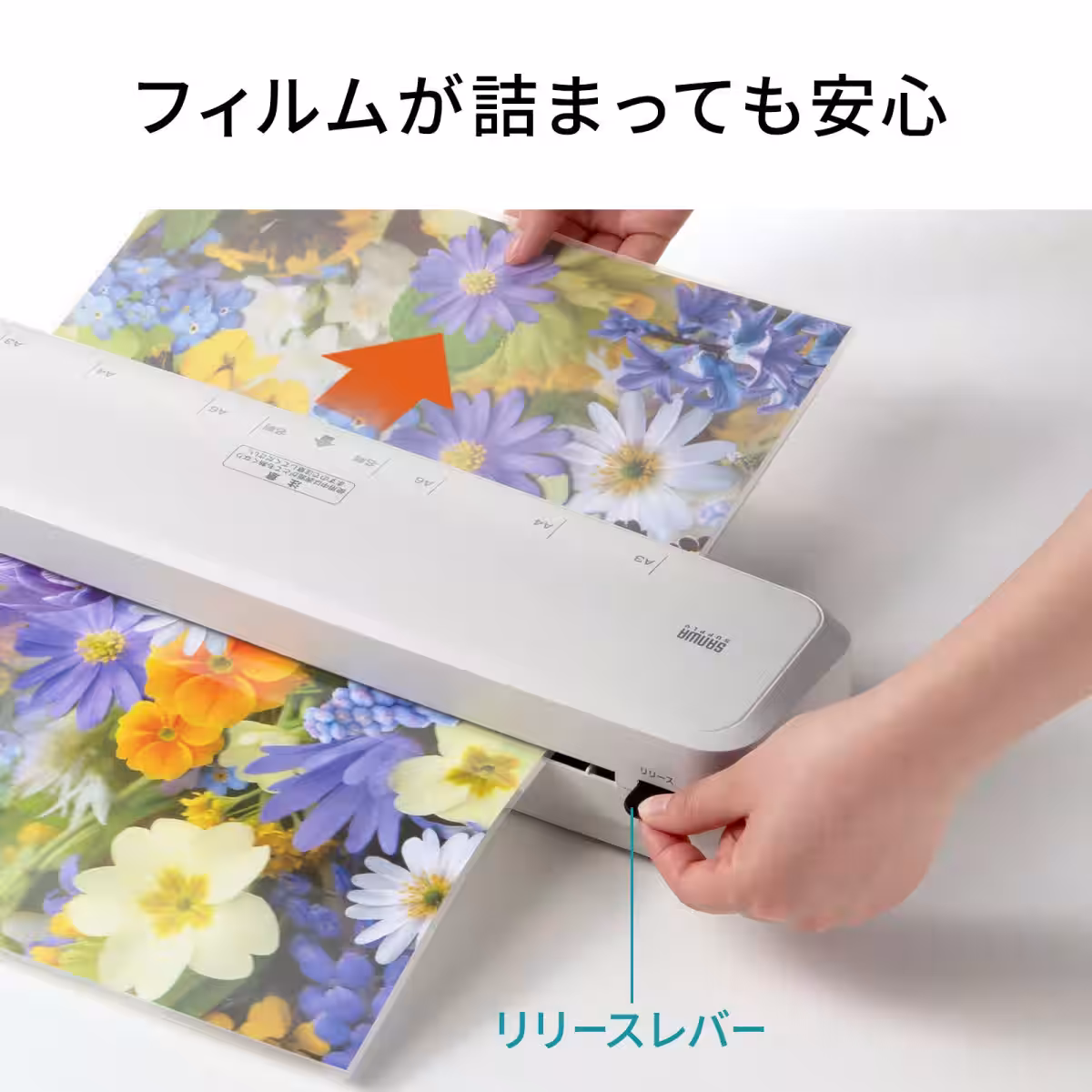 画像15