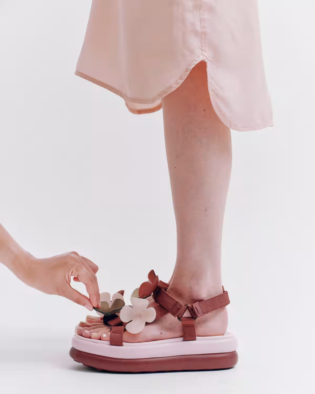 画像12