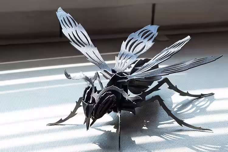 画像9