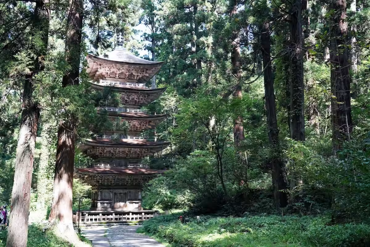 画像2