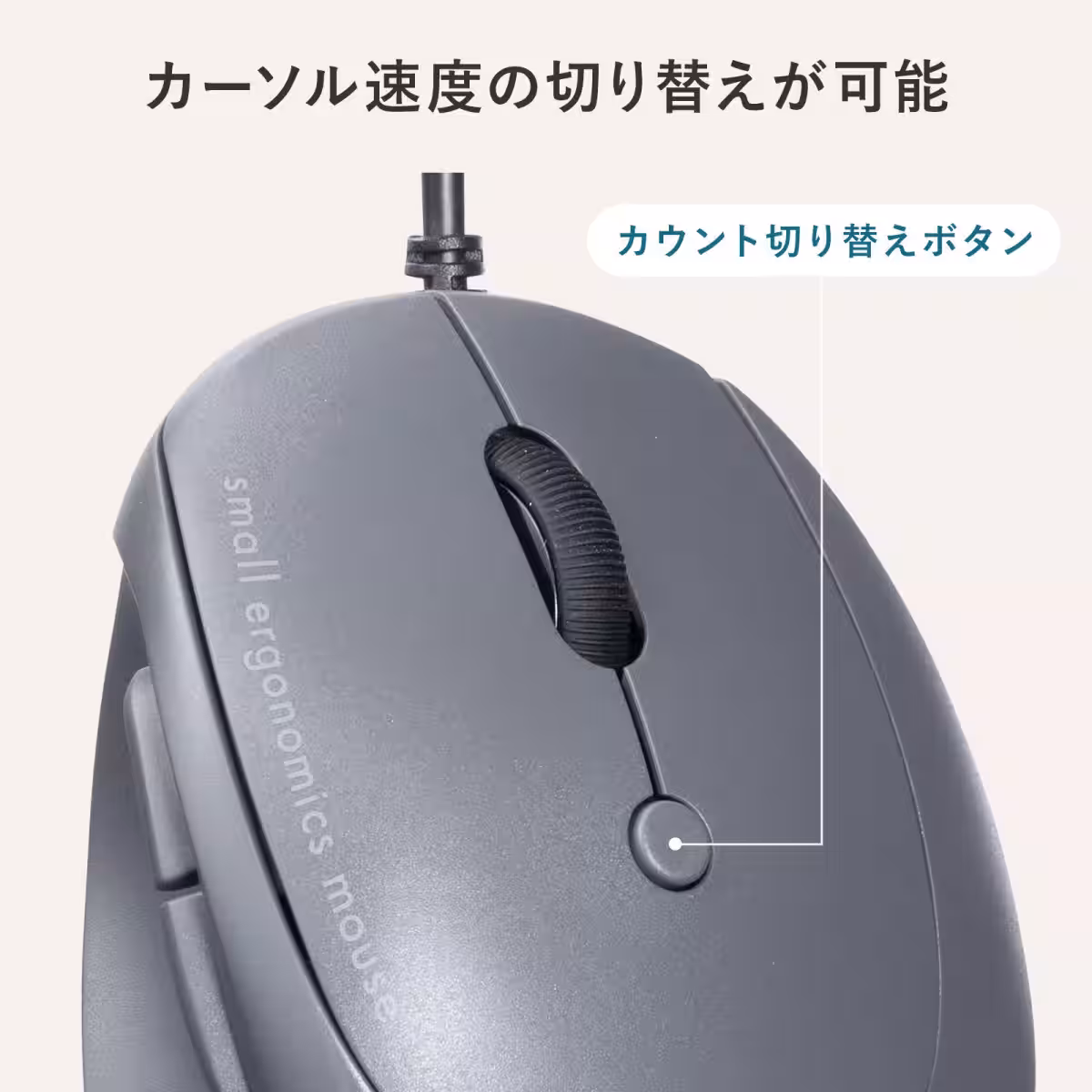 画像14