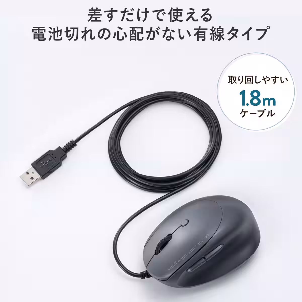 画像11