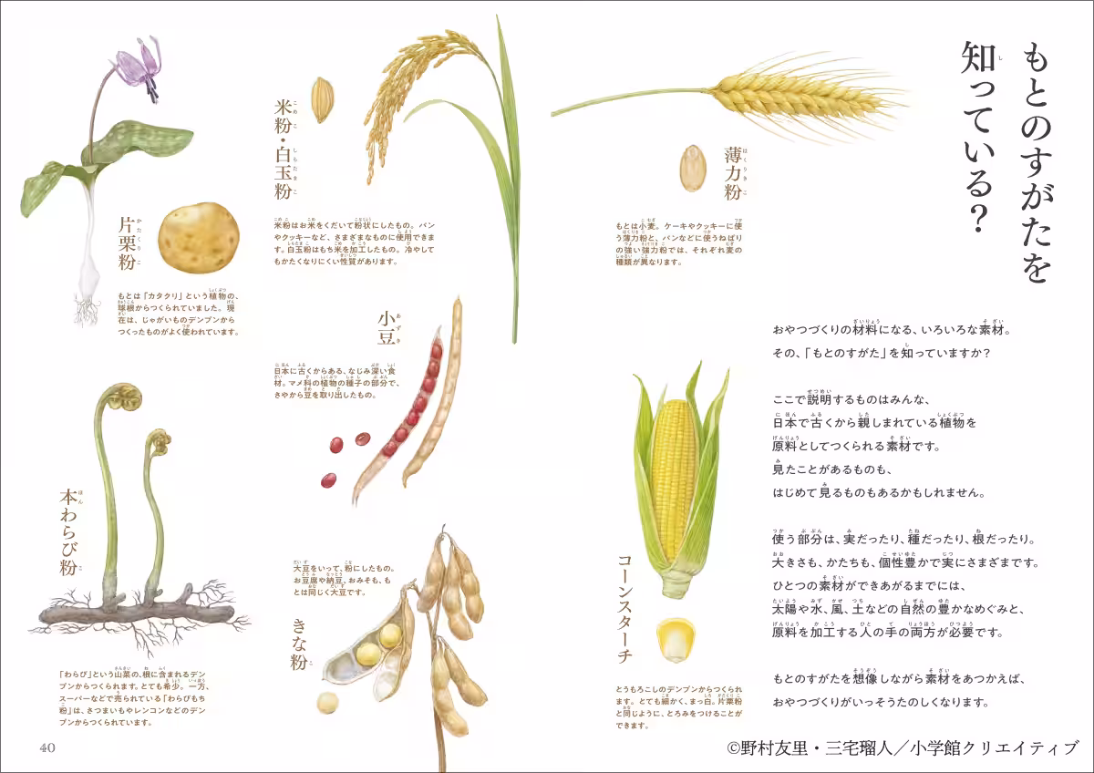 画像9