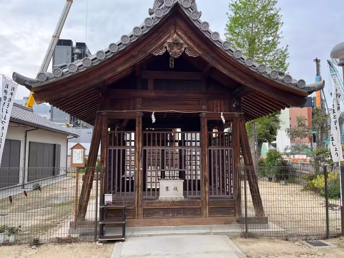 画像7