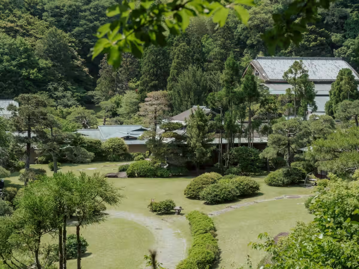 画像8