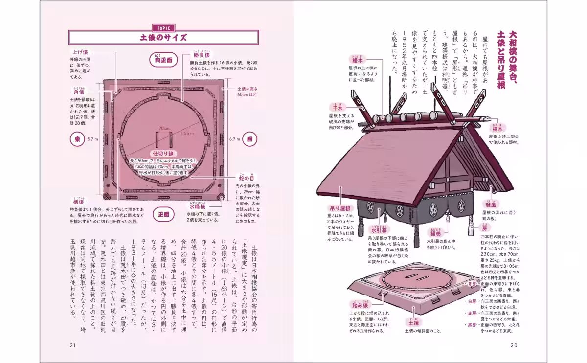 画像5