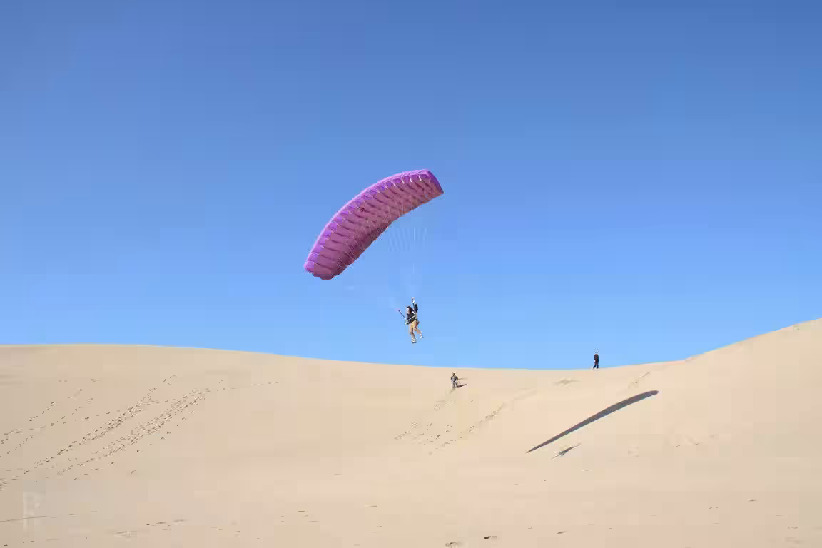 画像9