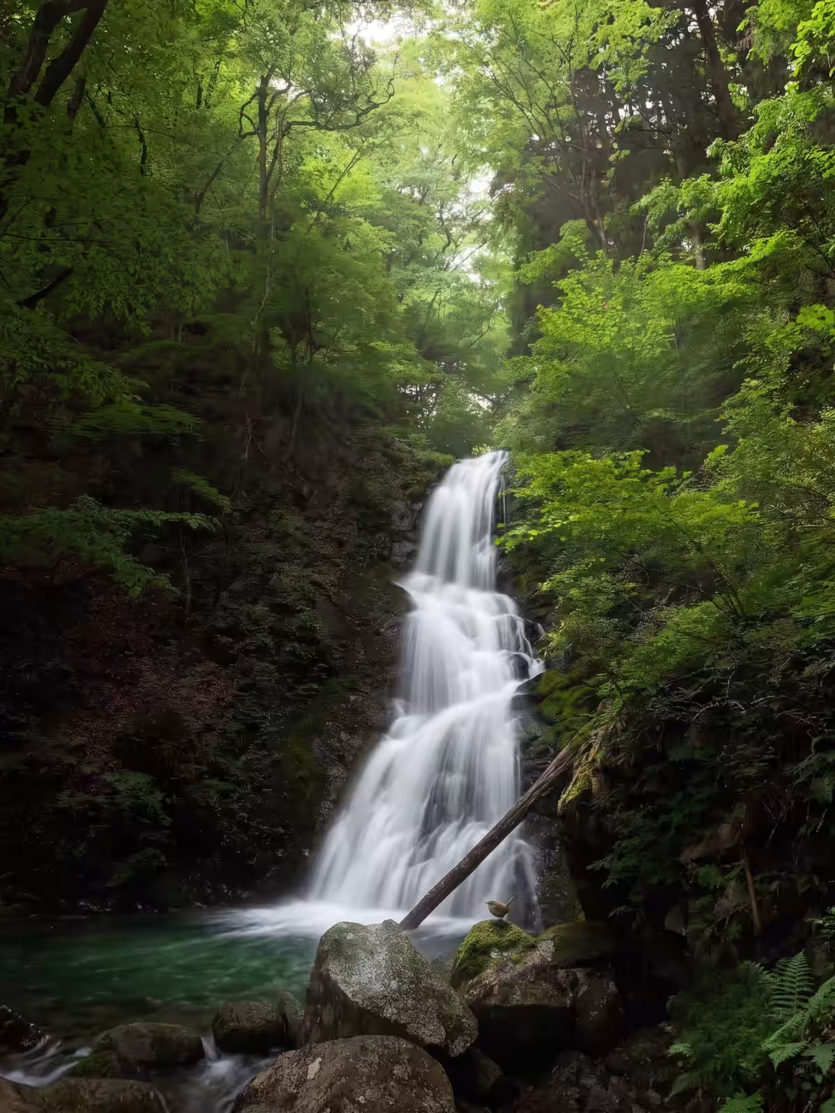 画像12