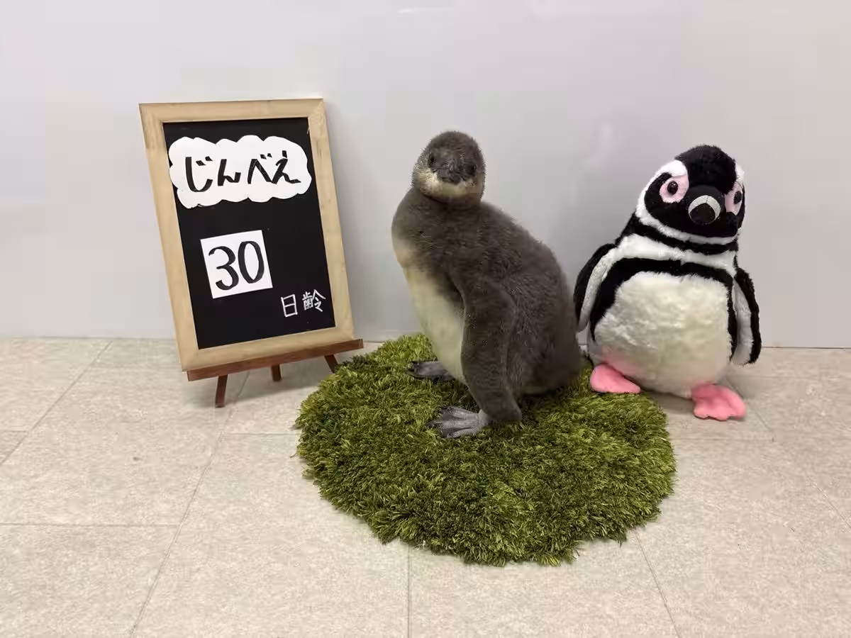 画像22