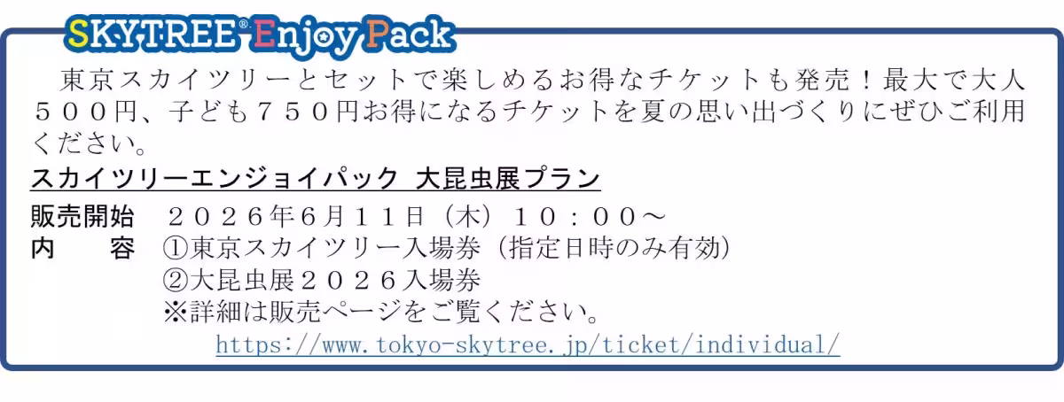 画像14