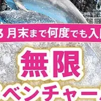 無限アドベンチャーパス
